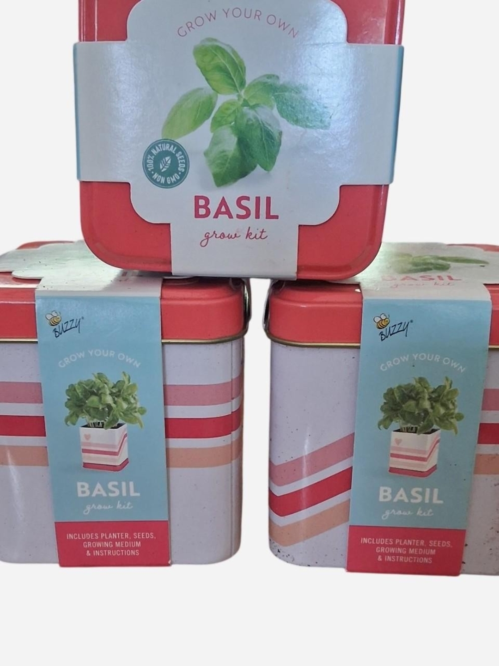 Basil Grow Kit with Coral and Light Blue Planter